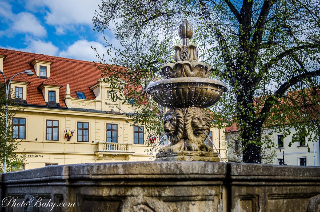 Отель Hejtmansky Dvur Сланы Экстерьер фото